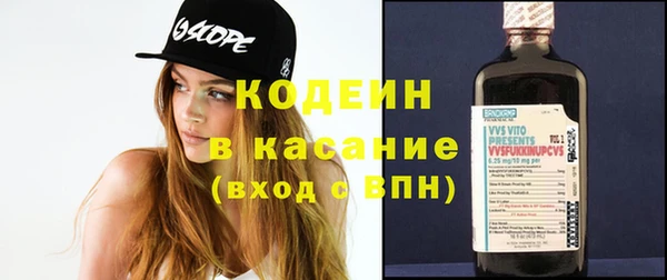 ПСИЛОЦИБИНОВЫЕ ГРИБЫ Дмитриев