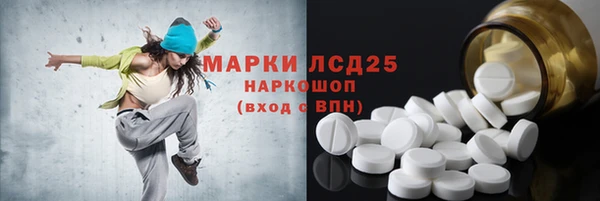 бошки Елабуга
