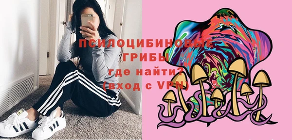 mix Ельня