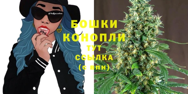 mix Ельня