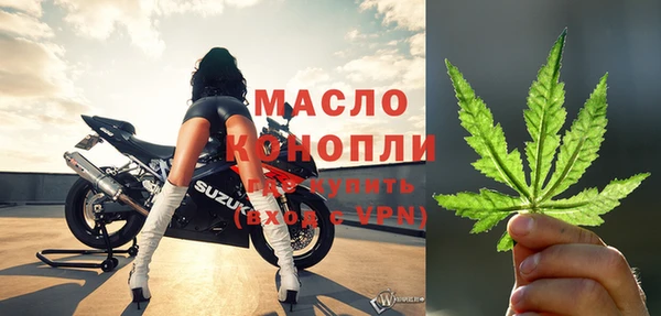 mix Ельня