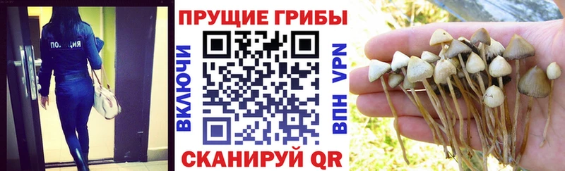 Галлюциногенные грибы GOLDEN TEACHER  Альметьевск 